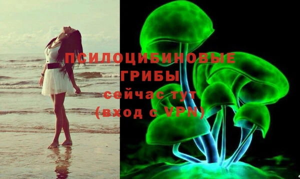 Альфа ПВП Майский