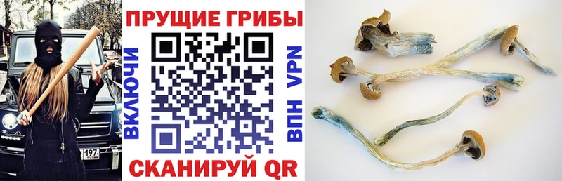 Псилоцибиновые грибы мухоморы  Купить  Белоозёрский 